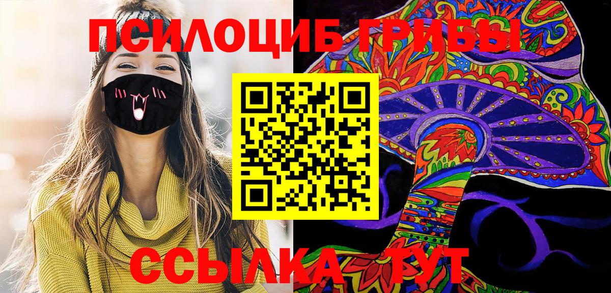 Псилоцибиновые грибы мицелий Коркино