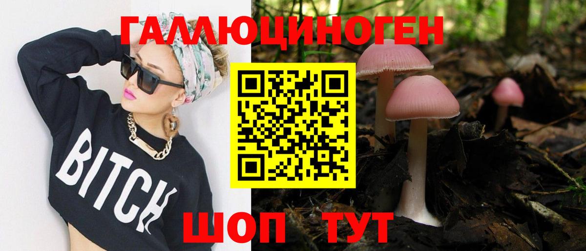 Галлюциногенные грибы Psilocybine cubensis  Вход с VPN  Коркино 